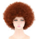 Peruca Castanho de Palhaço Adulto Luxo