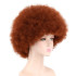 Peruca Castanho de Palhaço Adulto Luxo