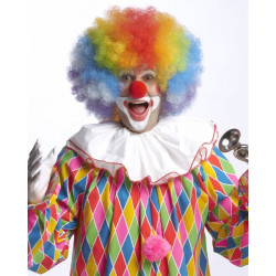 Peruca Colorida de Palhaço