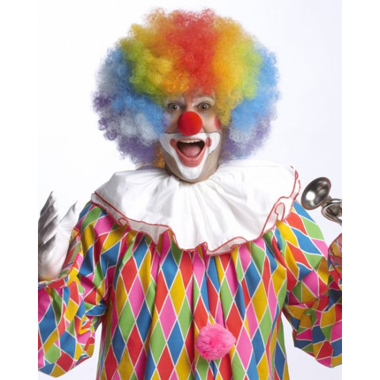 Peruca Colorida de Palhaço