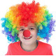 Peruca Colorida de Palhaço Adulto