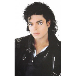 Peruca do Michael Jackson Cacheado Adulto