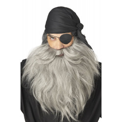 Barba e Bigode Cinza Adulto