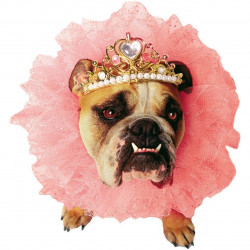 Fantasia para Cachorro Rainha Rosa