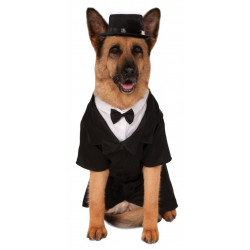 Fantasia para Cachorro Terno Social Noivo