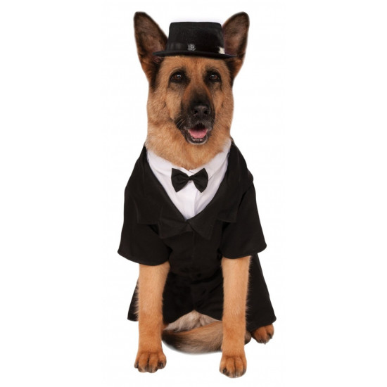 Fantasia para Cachorro Terno Social Noivo Fantasia para Cachorro Terno Social Noivo