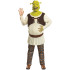 Fantasia Shrek Adulto