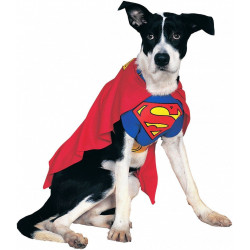 Fantasia para Cachorro Superman Super Homem
