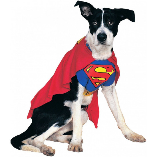 Fantasia para Cachorro Superman Super Homem Fantasia para Cachorro Superman Super Homem