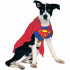 Fantasia para Cachorro Superman Super Homem